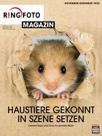 Magazin Nov-Dez
